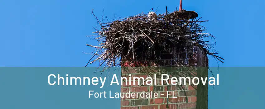 Chimney Animal Removal Fort Lauderdale - FL