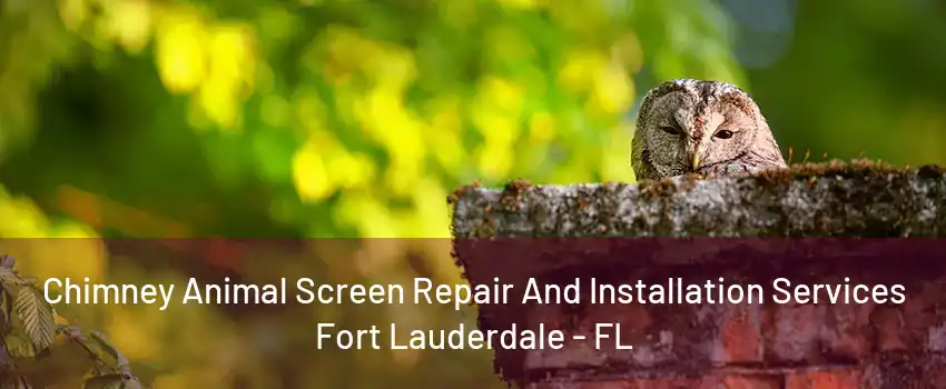 Chimney Animal Screen Repair And Installation Services Fort Lauderdale - FL