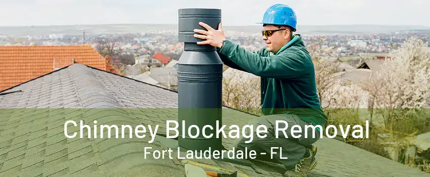 Chimney Blockage Removal Fort Lauderdale - FL