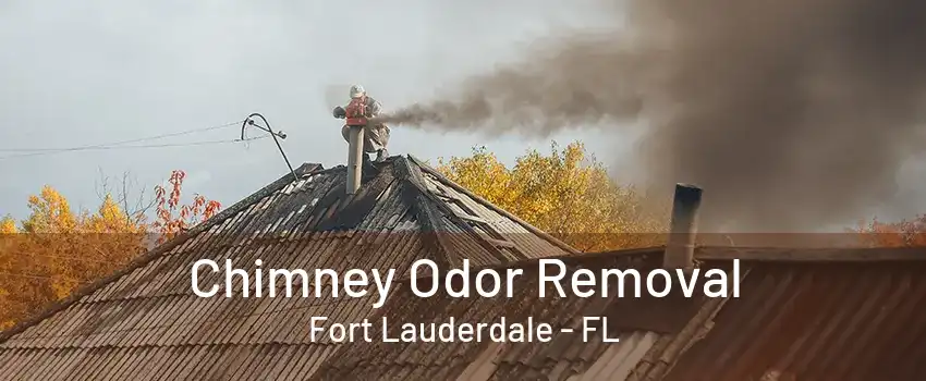 Chimney Odor Removal Fort Lauderdale - FL