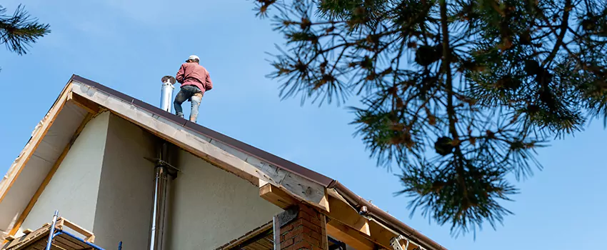 Birds Removal Contractors from Chimney in Fort Lauderdale, FL