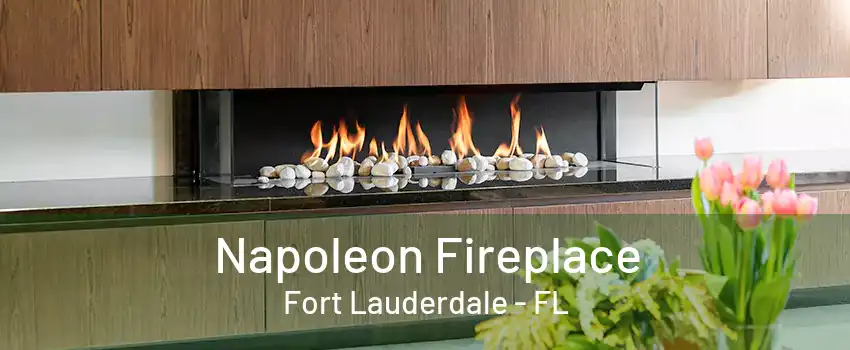 Napoleon Fireplace Fort Lauderdale - FL